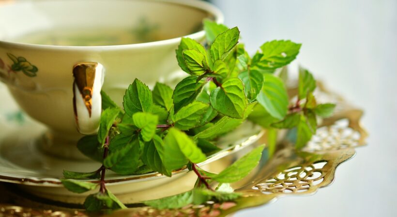 La naturopathie